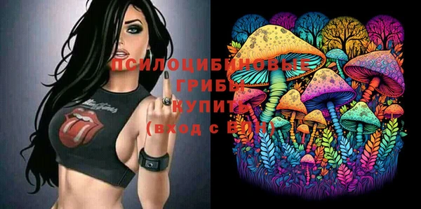 крисы Абинск